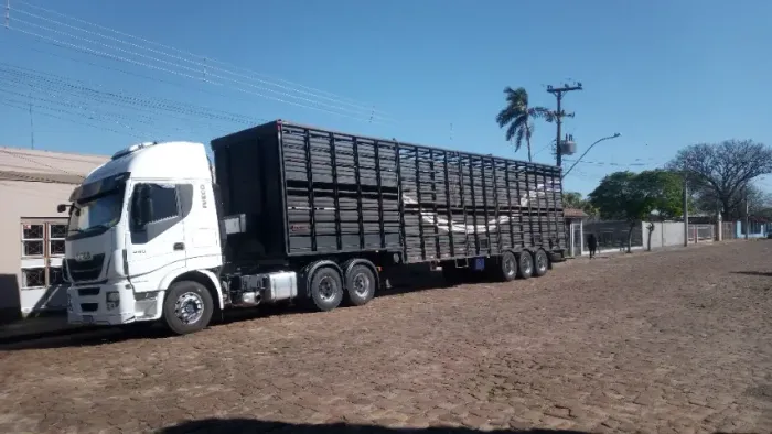 Vilaços 2014 todos os pisos novos. Vendo só a carreta ou engatado 