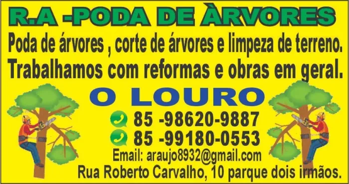 polda de arvore geral