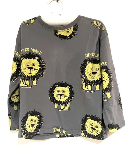 Camiseta manga longa cinza menino tam 5 anos Zara 