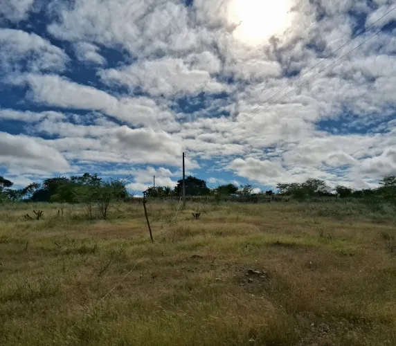 Vendo sítio 20.000 m2 