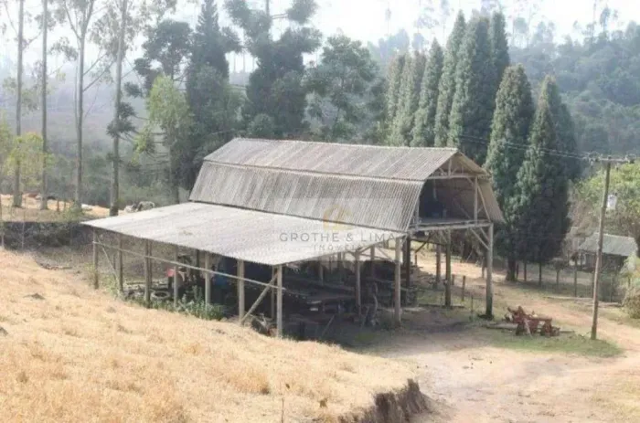 Fazenda à venda Campos Novos de Cunha | Cunha-SP