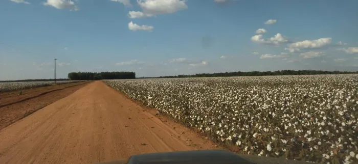 Fazenda 2.024 hec planta 1.380 em itapurah MT.