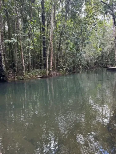 Sítio 59 km de Boa Vista com Igarapé