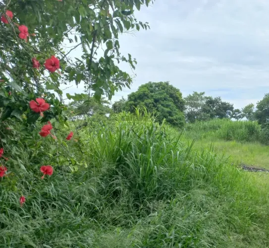 Área - São João - Jacareí - 3.600m².