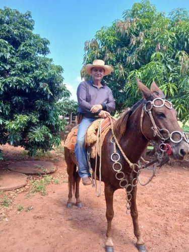 Mula Patrão Mansa e Bem Domada