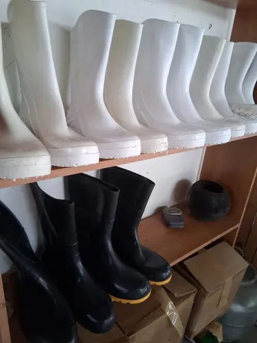 Botas borracha nova 