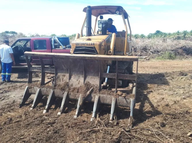 TRATOR DE ESTEIRA D4 CAT.