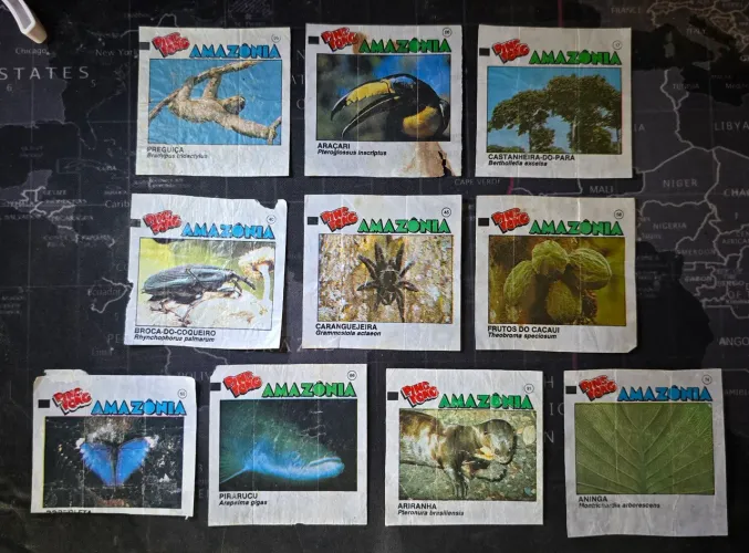 Lote c/ 10 figurinhas Ping Pong Amazônia (1991)