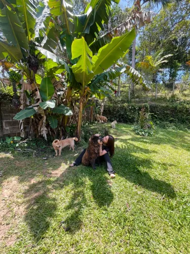 Pet sitter