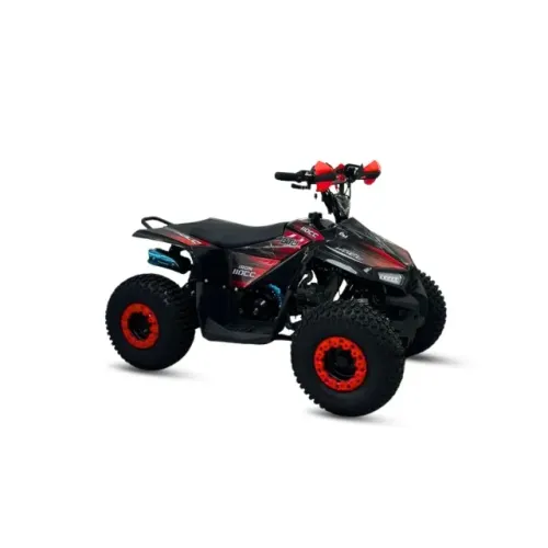 Quadriciclo Iron 110 2026 (0KM Pronta Entrega) Em até 12x sem juros no cartão