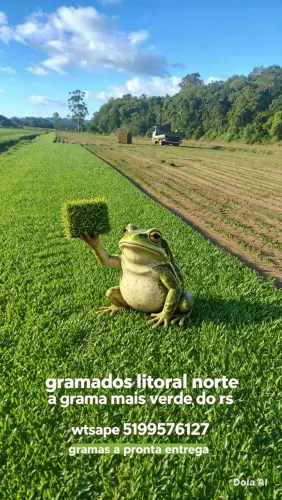 Gramas