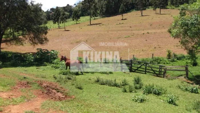 Chácara à venda por R$ 900000.00, 193000.00 m2 - SOCAVAO - CASTRO/PR