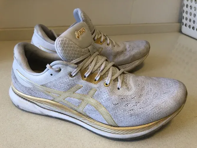 Tênis Asics Evoride Tam 45/46 (13 Us)