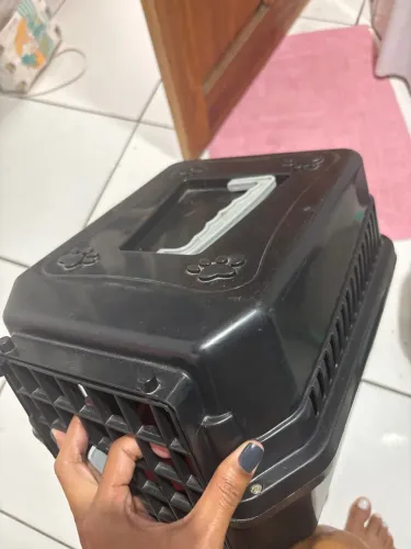 Caixa de transporte gato filhote