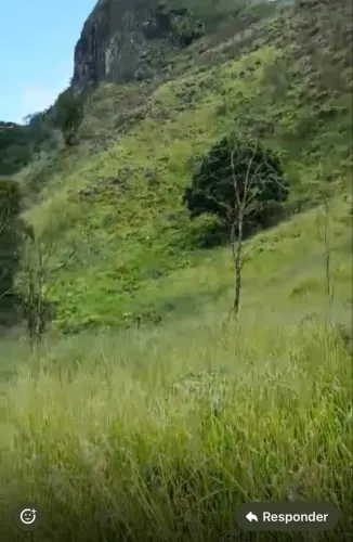 Sítio a venda ( Passa Vinte, MG)
