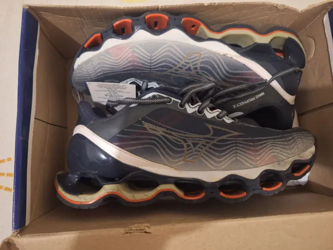 Mizuno prophecy x