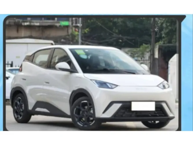 BYD Dolphin Mini (Elétrico) 2027