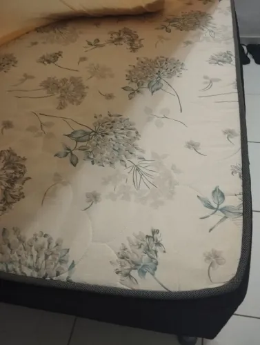 Cama