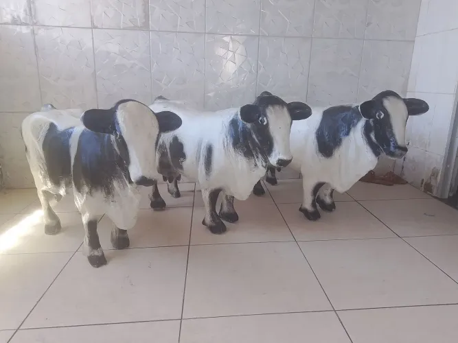 Mini vacas em fibra