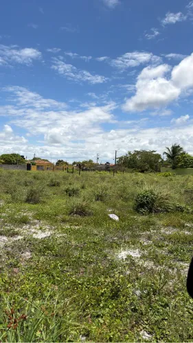 Terreno 12x30 em Catuama