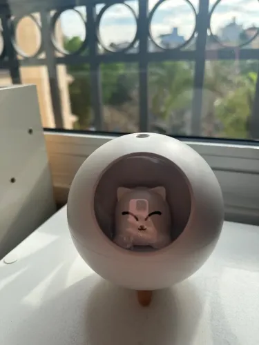 Umidificar Gatinho