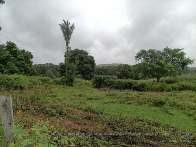 Fazendinha com 100 hectares 15 minutos do trevo do lagarto, na região da comunid