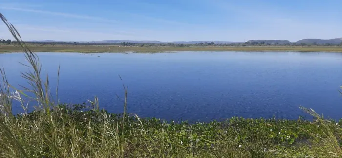 Fazenda à venda em Flores de Goiás-GO