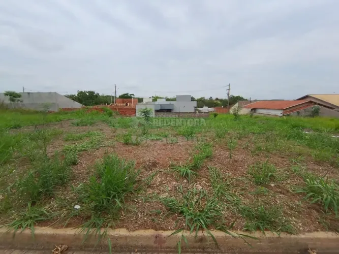 Terreno Padrão em Bady Bassitt