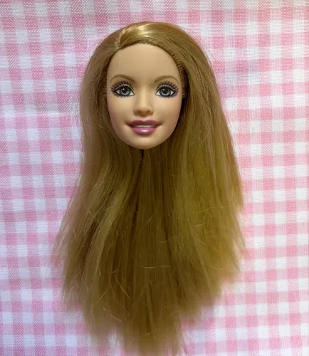 Cabeça Luciana- Barbie a princesa da ilha