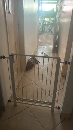 Grade separadora de ambiente 