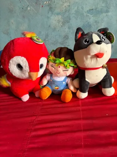 Vendo três ursos novos