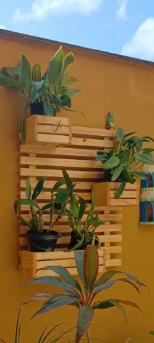 Jardim Vertical em madeira