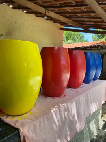 Vasos de Planta Coloridos