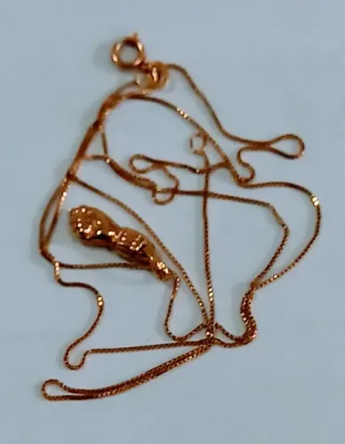 Corrente de Ouro Com Pingente (Figa)