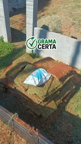 Grama Esmeralda Natural em Itu e Região