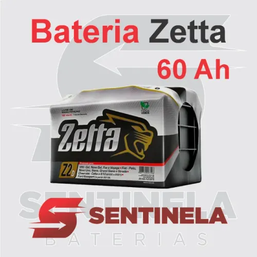 Zetta 60 Amperes