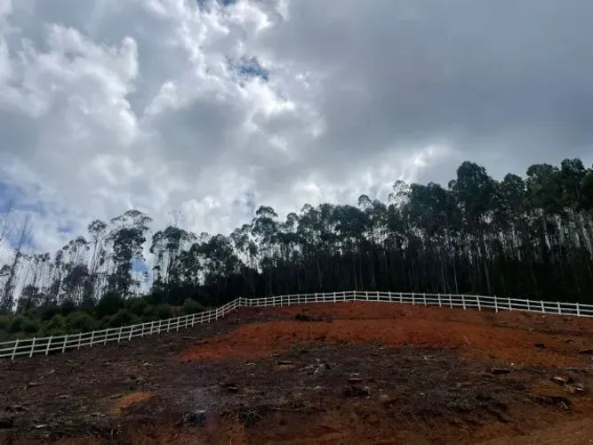Excelente Chácara de 6.000m² no Alto da Serra Mantiqueira, Delfim Moreira/MG