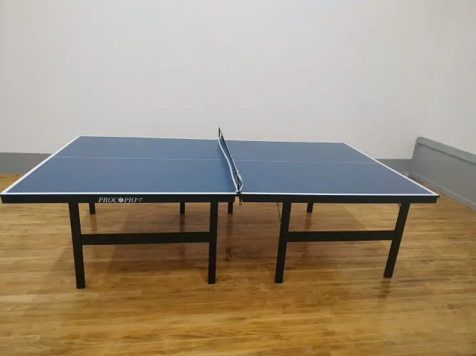 Ping pong novo