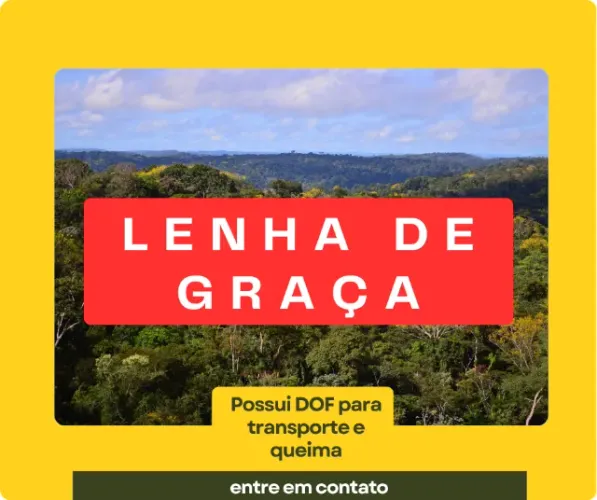 LENHA NATIVA - COM DOCUMENTO P/ TRANSPORTE/QUEIMAR - DOF. LENHA É DE GRAÇA SÓ PAGA DOF