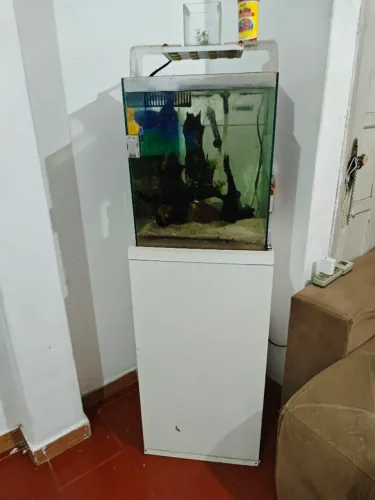 Aquário completo 