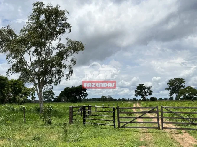 Fazenda de 95 alqueires (460 hectares) no Cocalinho - Mato Grosso