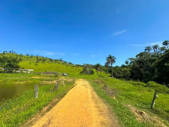 Grande Oportunidade para investidores Fazenda a Venda no Município de Itapira Sp
