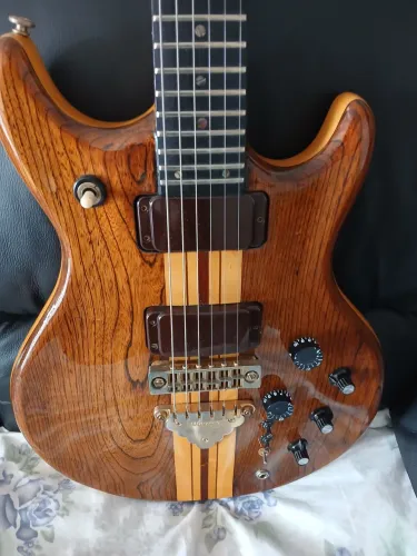 Guitarra ibanes musician MC 500