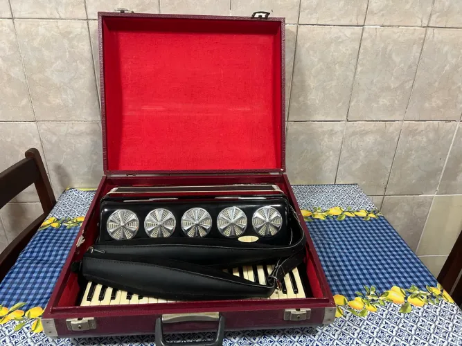 Acordeon 120 baixo universal