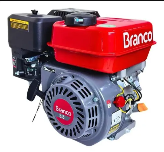 Motor estacionário 5.5