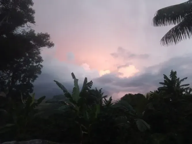 Sítio Chácara Canto da Mata 2500m2