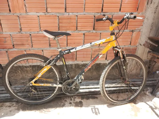 Bicicleta
