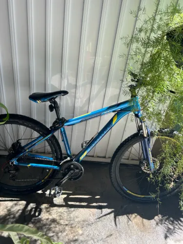 Bike aro 29