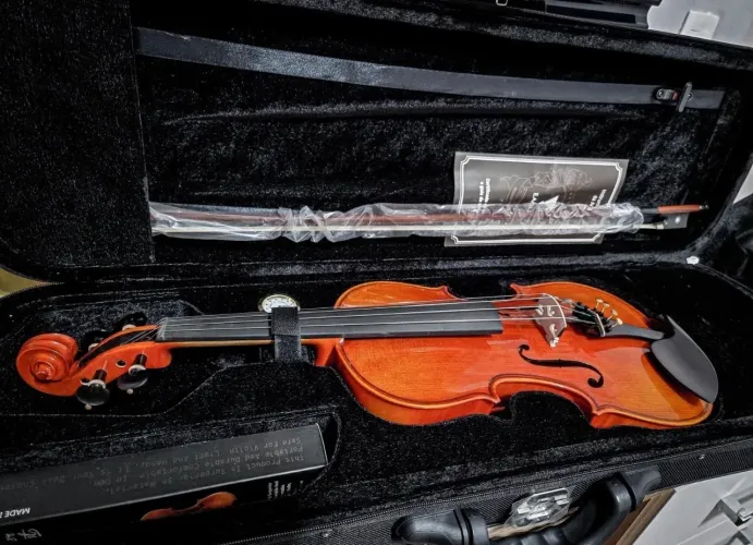 Violino Eagle VK 844 4/4 - Premium | Ajustado por Luthier