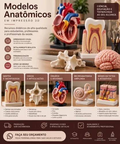 Modelos anatômicos em 3D
